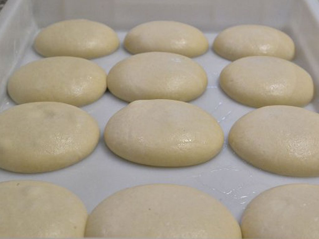 Pizza Oven Aurora Service Franchising