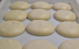 Pizza Oven Aurora Service Franchising